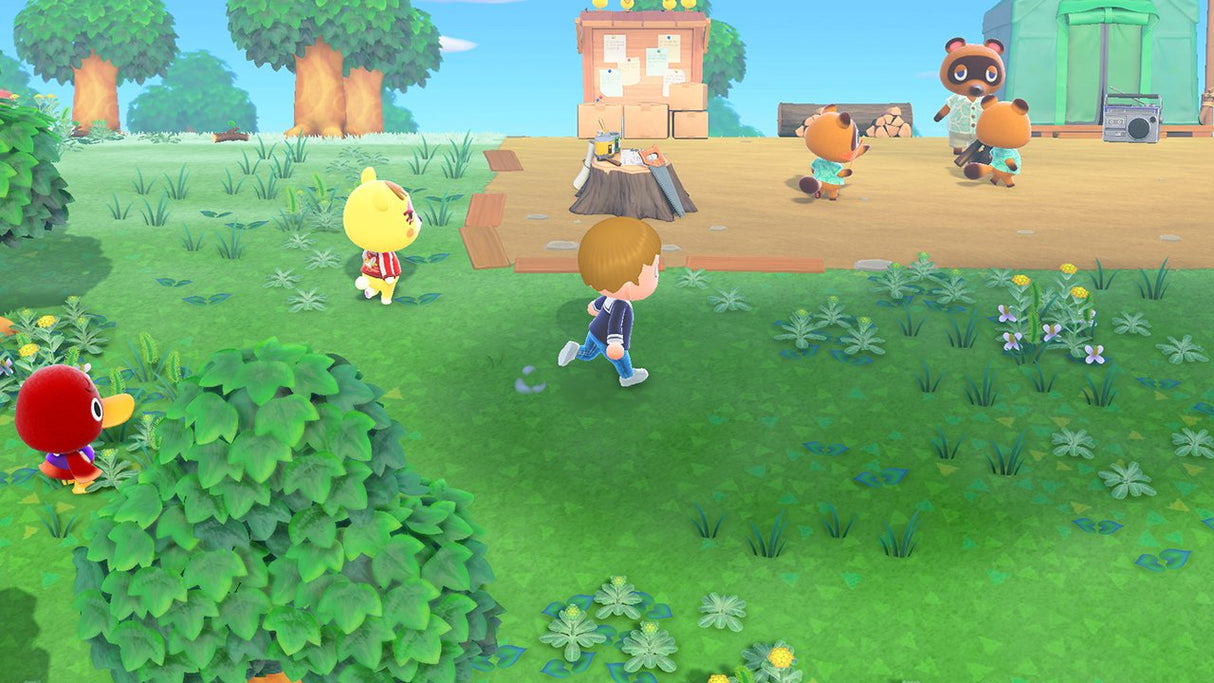 Switch Animal Crossing: New Horizons