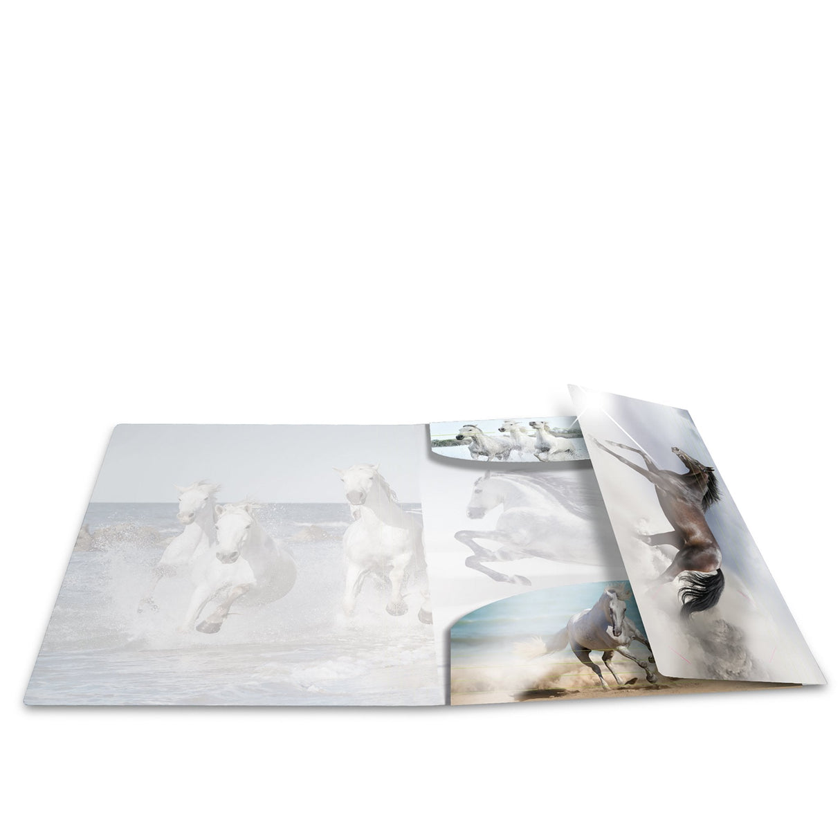 Carpeta Herma 19329  Polipropileno (Pp) Multicolor A4