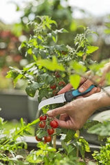 EAN 4066407003163 - Gardena VeggieCut tijeras de podar Negro, Verde imagen 4