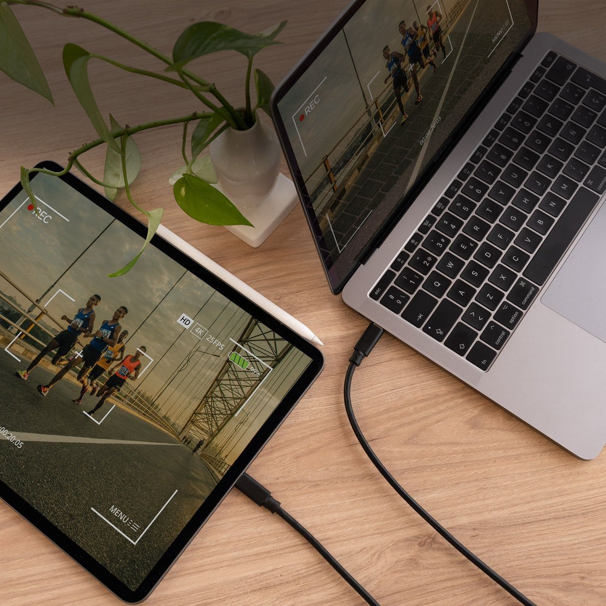 Cable Usb 2.0 3a Tipo Usb-C/M-Usb-C/M, Negro 1.5 M