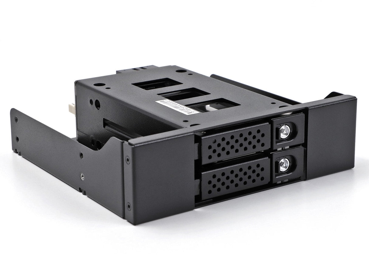Delock 47011 Panel Bahía Disco Duro 2x 2,5" U.2 Nvme Ssd Con 5.25 Rahmen
