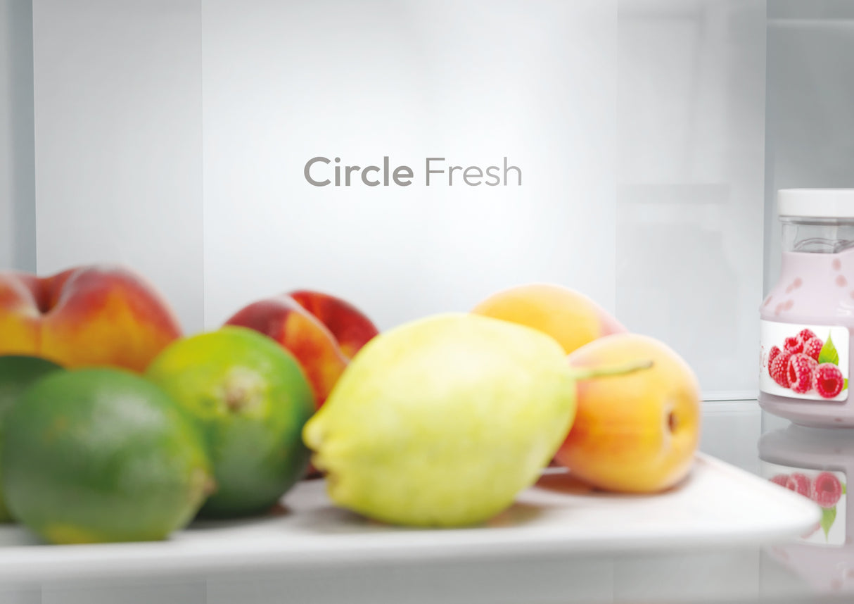 Cncq2t620dx Candy       Fridge