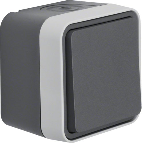 Berker 30773505 Fr-Kreuzschalter Ap Wd W.1 Grau