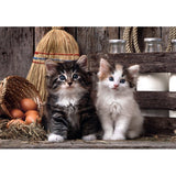Puzzle Lovely Kittens High Quality 1000pzs