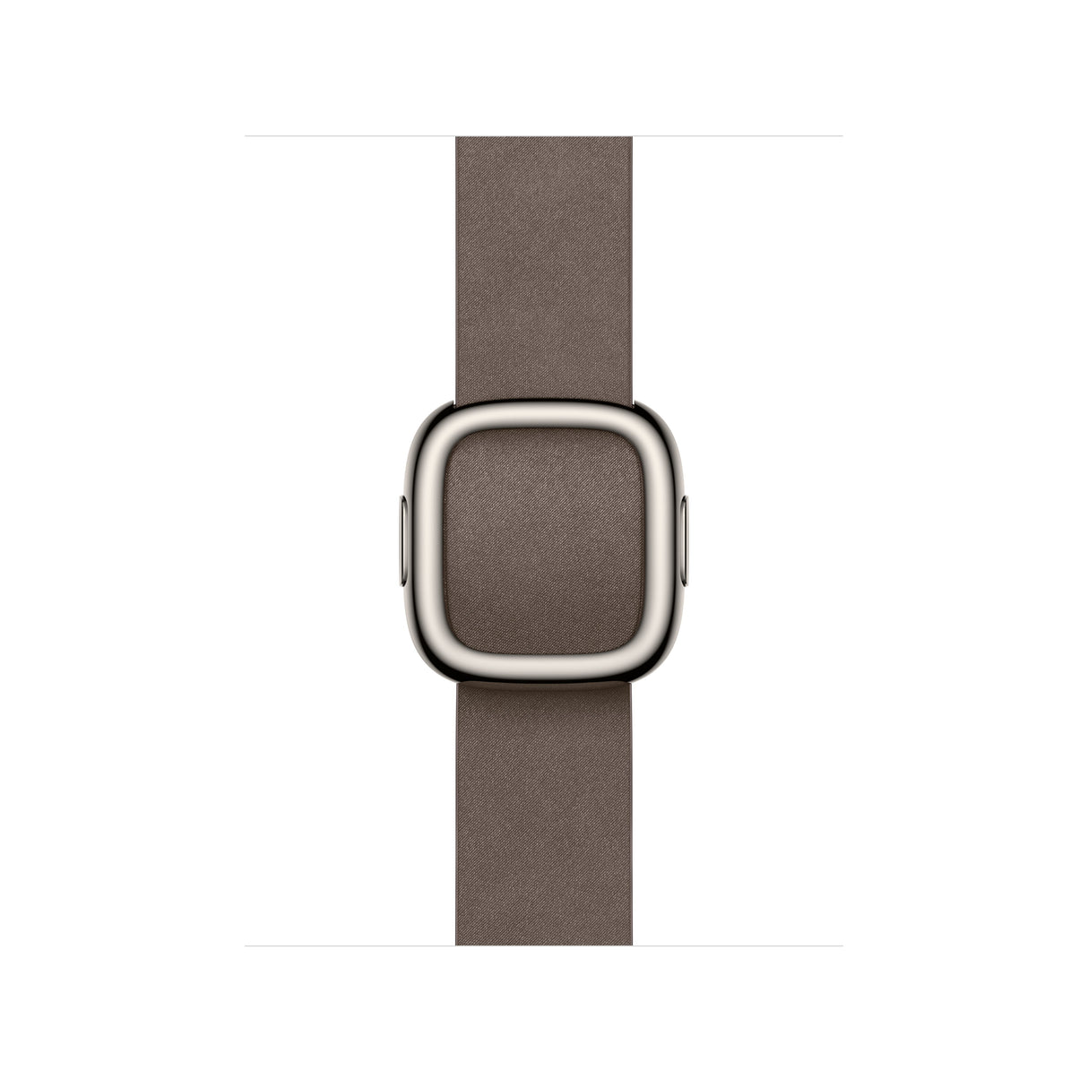 Apple 42mm Dark Taupe Modern Buckle - Small