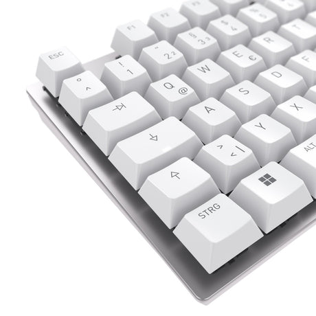 EAN 4025112111051 - CHERRY KC 200 MX teclado Universal USB QWERTZ Alemán Plata, Blanco imagen 5