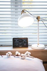 Estación Meteorológica Adler Ad 1175