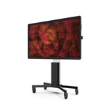 Ctouch Canvas Pizarra Blanca Interactiva 165,1 Cm (65") 3840 X 2160 Pixeles Pantalla Táctil Negro