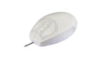 EAN 7061111297553 - Active Key AK-PMT1 ratón USB tipo A Óptico 800 DPI imagen 1