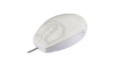 EAN 7061111297553 - Active Key AK-PMT1 ratón USB tipo A Óptico 800 DPI imagen 1