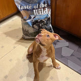 EAN 0074198612451 - Taste of the Wild Pacific Stream 2 kg Cachorro Bola, Salmón, Batata imagen 4