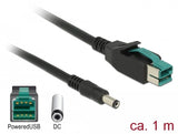 Delock 85497 Cable Usb Alimentado 12 V> Cc 5,5 X 2,1 Mm Macho 1 M Para Terminales E Impresoras Pos