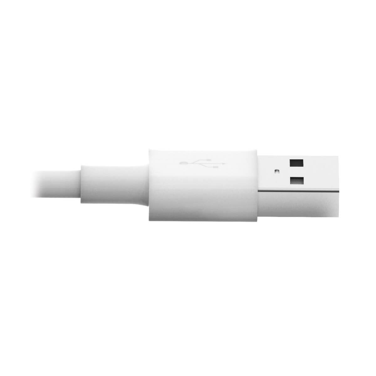 Tripp Lite M100-006-Wh Cable De Sincronización Y Carga Usb A A Lightning, Certificado Mfi - Blanco, M/M, Usb 2.0, 1.83 M [6 Pies]