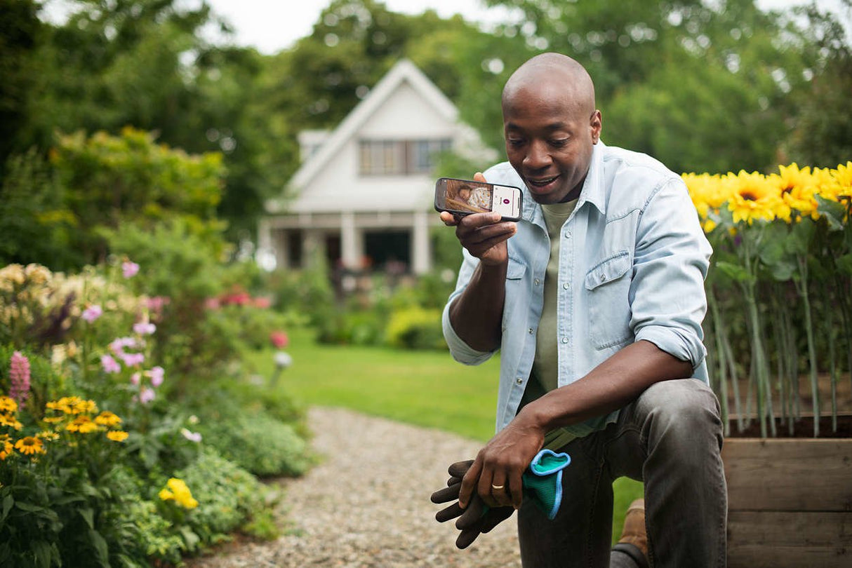 EAN 8710103974604 - Philips AVENT SCD921/26 video-monitor para bebés 400 m Wi-Fi Blanco imagen 6