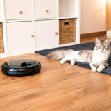 Cecotec Pumba 1600 Purrfect Meal Comedero Y Bebedero Para Perro Y Gato Negro Comedero Automático Para Mascotas
