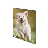 Carpeta Herma A3 Perros Polipropileno