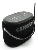 Pure Woodland Wasserdichter Outdoor-Altavoz Con Fm Dab+ Radio, Negro