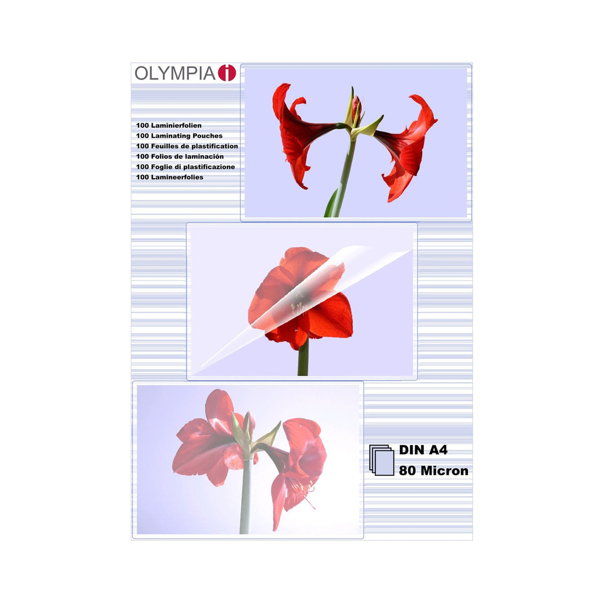 1x100 Olympia Fundas Para Plastificar Din A4 80 Micras 9166
