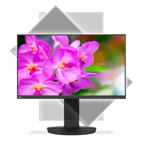 EAN 5028695117051 - NEC MultiSync EA241F-BK pantalla para PC 61 cm (24") 1920 x 1080 Pixeles Full HD LED Negro imagen 5