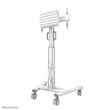 Neomounts By Newstar Select Neomounts Soporte De Suelo 37-75" 70kg Fl50s-825wh1 Blanco Neomounts