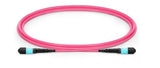 EAN 5704174871002 - Lanview LVO230405-MTP Cable de fibra óptica e InfiniBand 5 m Violeta imagen 1