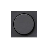 Gira 065028 Abdeckung Drehdimmer System 55 Anthrazit