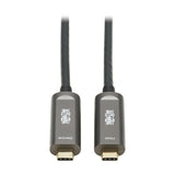 Cable Tripp Lite U420f-10m-D321 Usb 3.2 Gen 2 (3.1 Gen 2) Usb C Negro, Gris