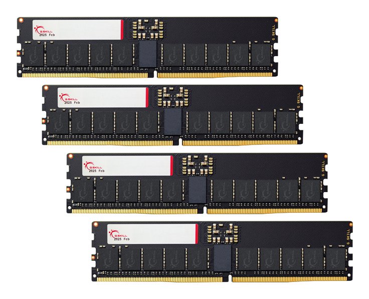 EAN 4711549510849 - G.Skill T5 Neo F5-6400R3644E64GQ4-T5N módulo de memoria 256 GB 4 x 64 GB DDR5 6400 MT/s 288-pin DIMM ECC imagen 1