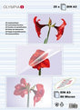 EAN 4030152091829 - Olympia 9182 plastificador 25 pieza(s) imagen 1
