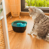 Cecotec Pumba 2200 Refresh