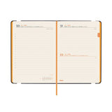 EAN 8422952405962 - Finocam 883381026 agenda Agenda diaria Azul imagen 4