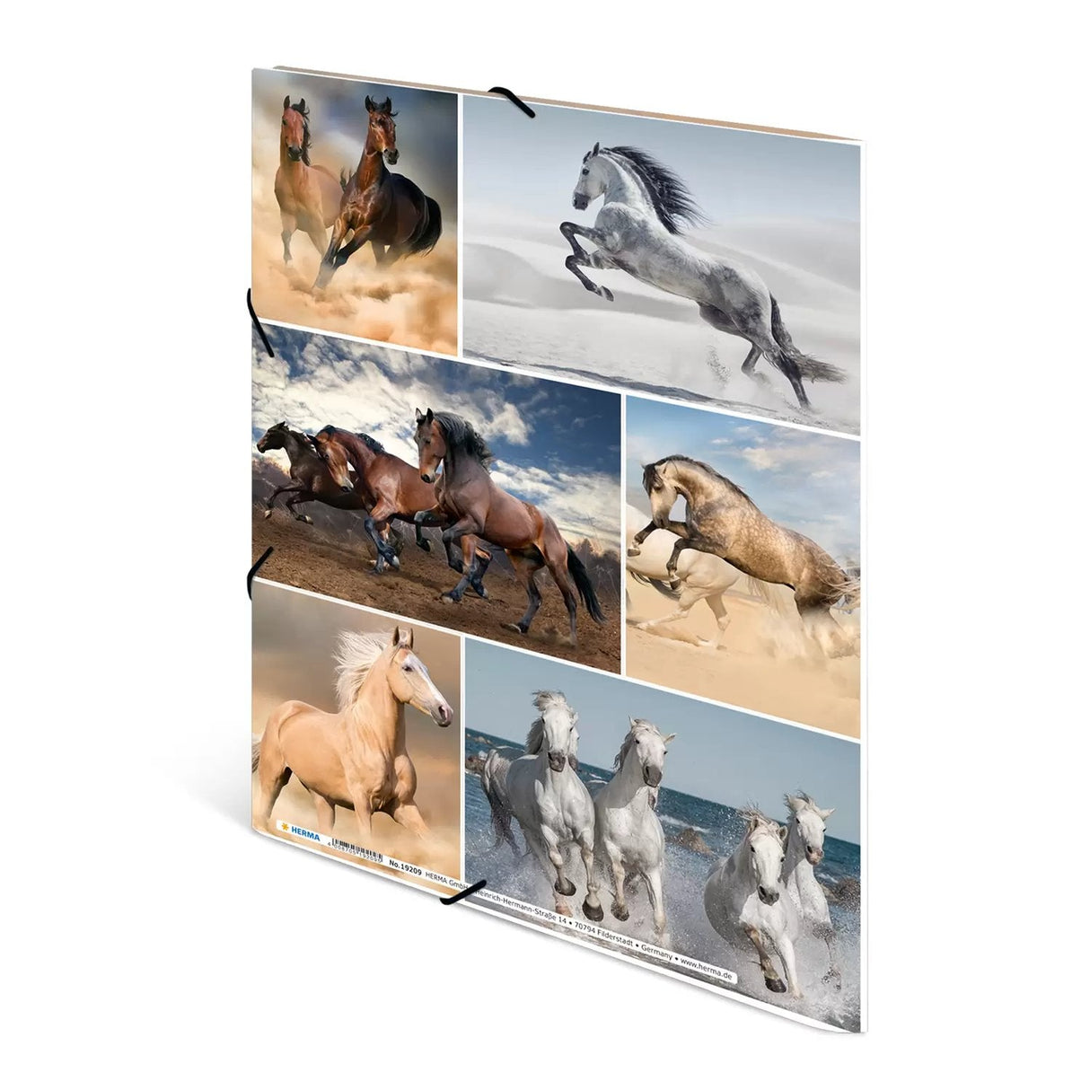Carpeta Herma A4 Caballos Cartón