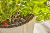 Juego De Riego Por Goteo Micro-Drip-System Gardena Terraza, 30 Plantas, Goteros 13400-20