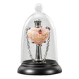 EAN 0812370015573 - The Noble Collection NN7599 imagen 1