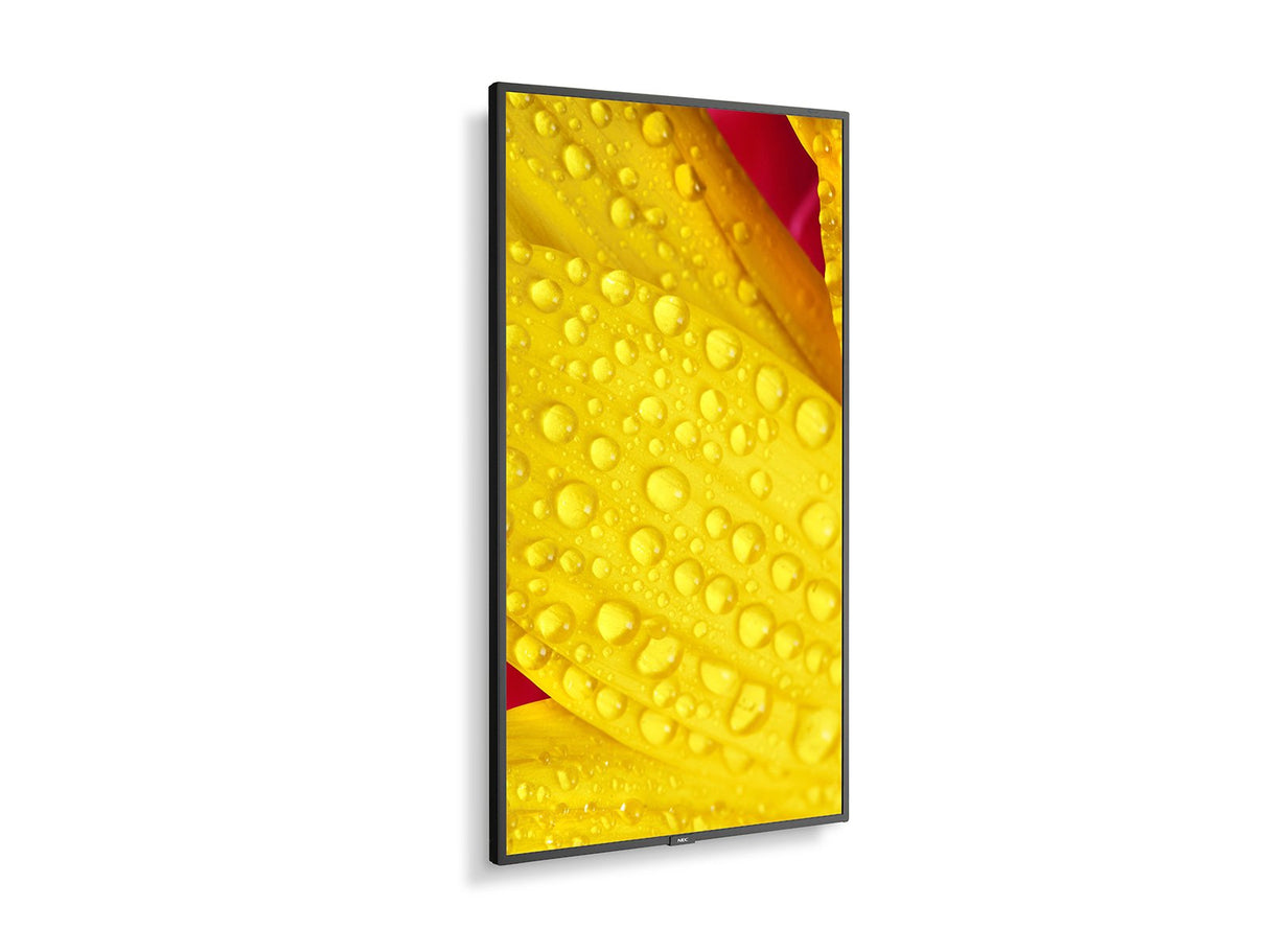 Monitor Nec - 43' Ultra High Definition Commercial Display