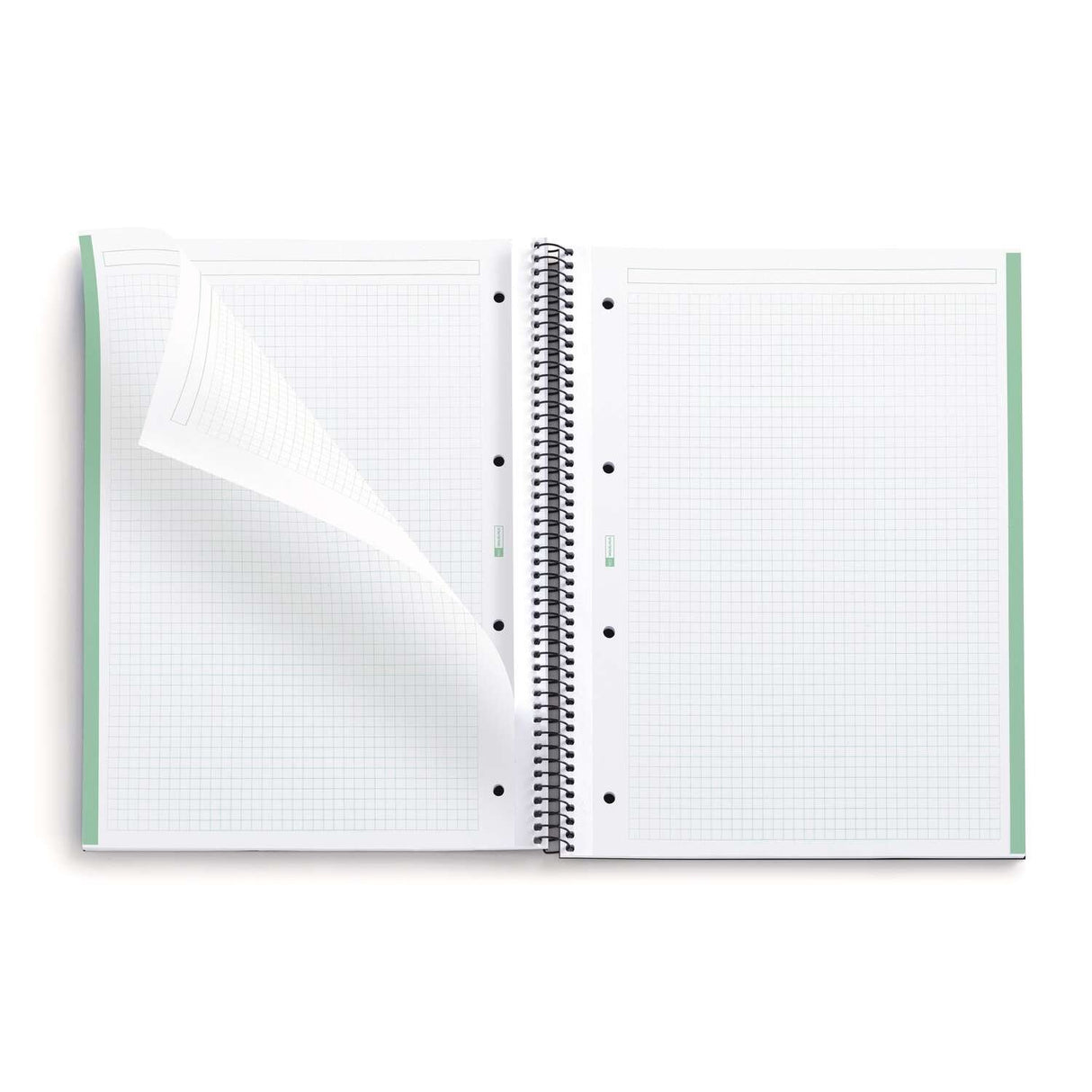 EAN 8422593060919 - MAUL A609155 cuaderno y block A4 80 hojas Verde imagen 2