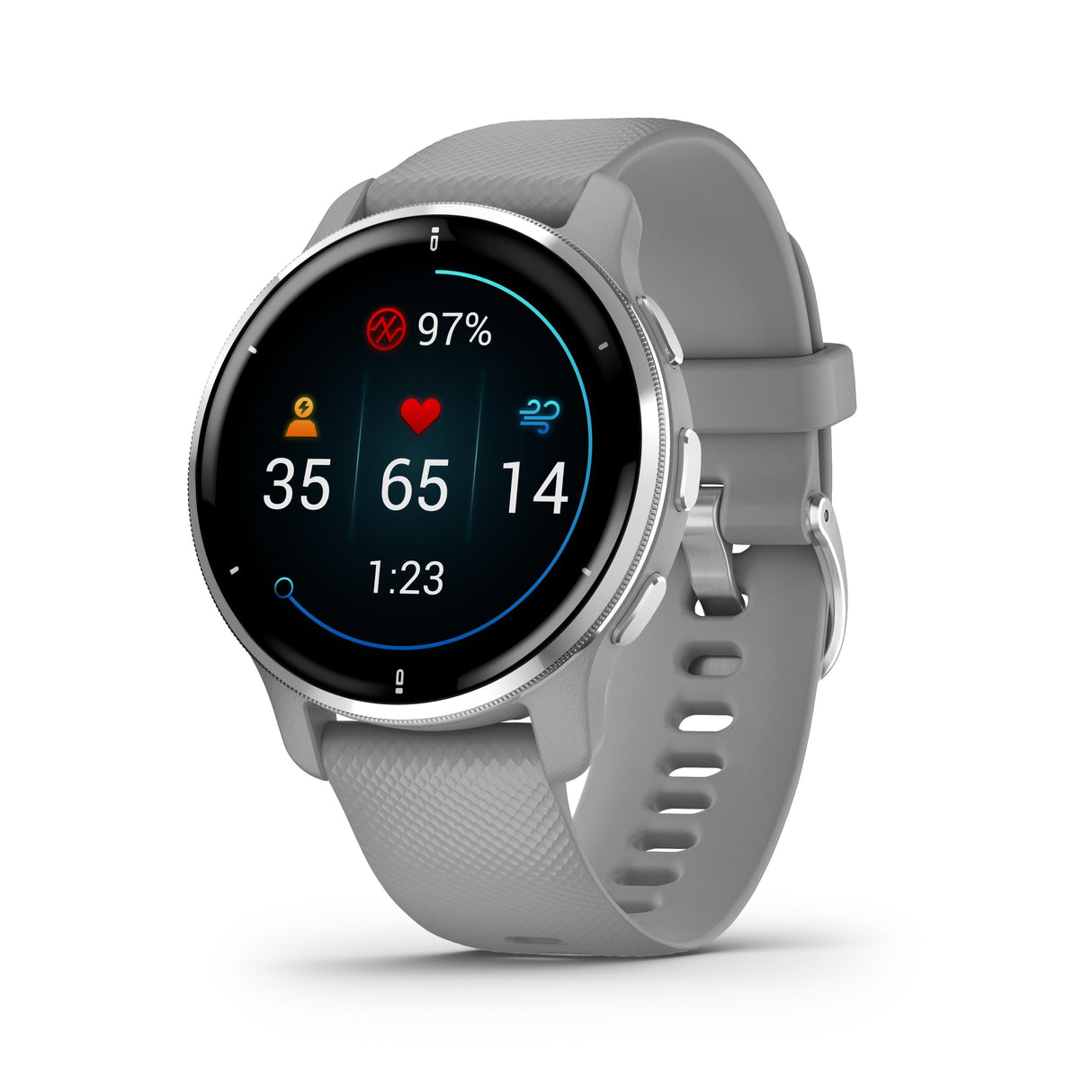 Smartwatch Garmin Venu 2 Plus  Notificaciones  Frecuencia Cardíaca  Gps  Plata Y Gris