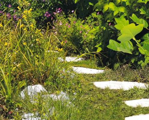 Tijeras Para Césped Y Arbustos A Batería Einhell Ge-Cg 12 Li Wt, 12 Voltios, Tijeras Para Césped (Rojo/Negro, Batería De Iones De Litio De 1,5 Ah) 3410411