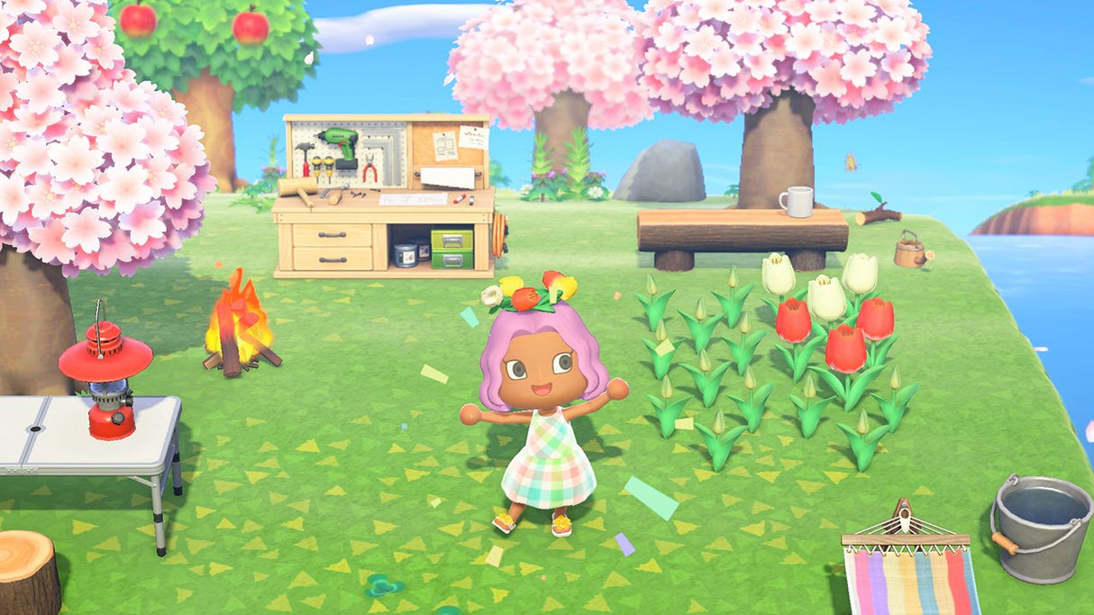 Switch Animal Crossing: New Horizons