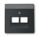 EAN 4011395127353 - Busch-Jaeger 1710-0-3911 placa de pared y cubierta de interruptor Negro imagen 1