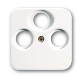 EAN 4011395538005 - Busch-Jaeger 1724-0-1754 placa de pared y cubierta de interruptor Blanco imagen 1