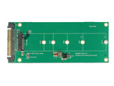 Delock Sata Convertidor U.2 Sff-8639 Nvme -> 1x M.2 Key M
