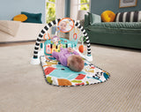 EAN 0194735224067 - Fisher-Price HWY54 gimnasio para bebé y tapete de juego Tela, Plástico Multicolor Gimnasio para bebés imagen 3