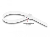 EAN 4043619186440 - DeLOCK 18644 presilla Bridas adherentes para cables Nylon 100 pieza(s) imagen 3