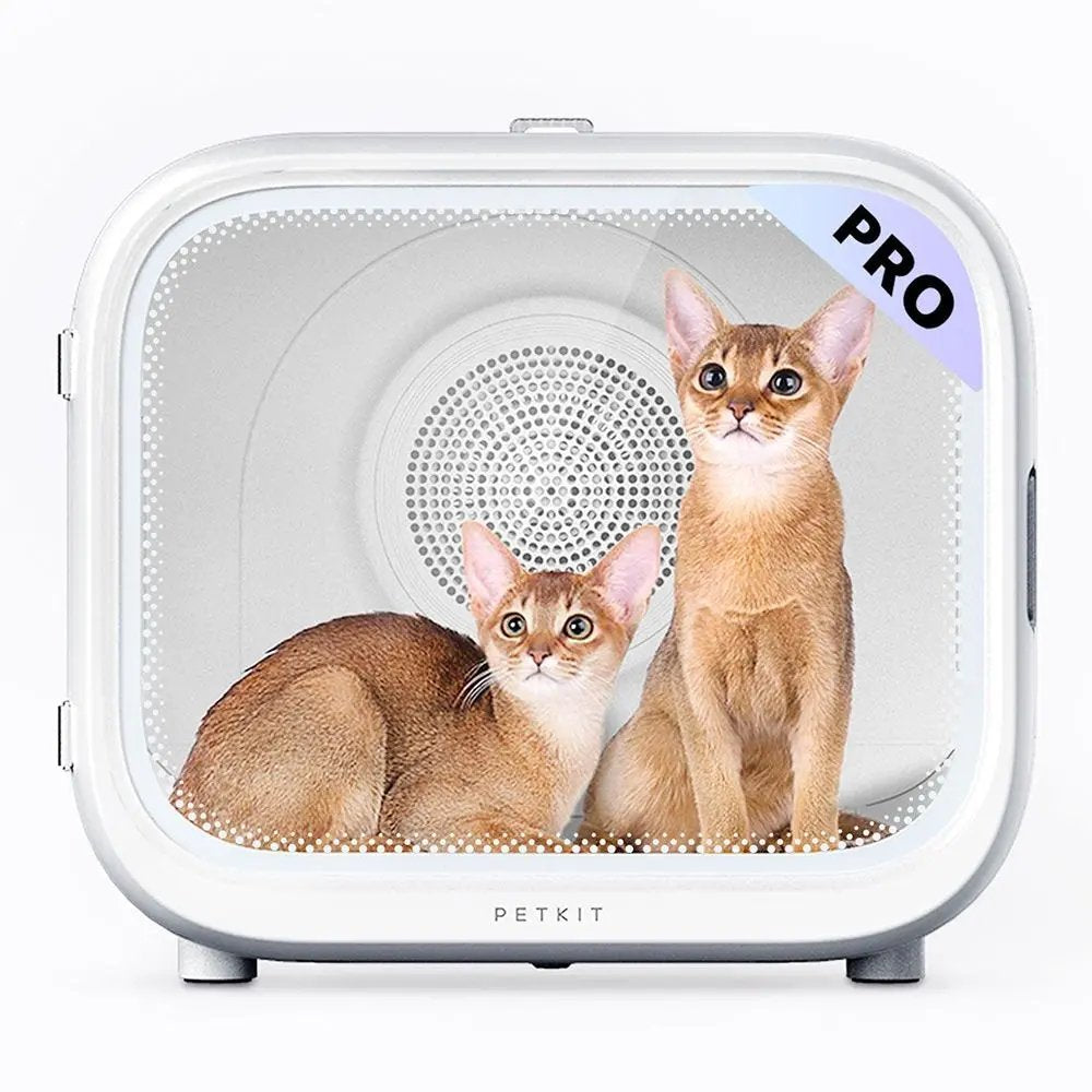 EAN 6975069301389 - PETKIT HG-P-EU Gato Blanco imagen 1