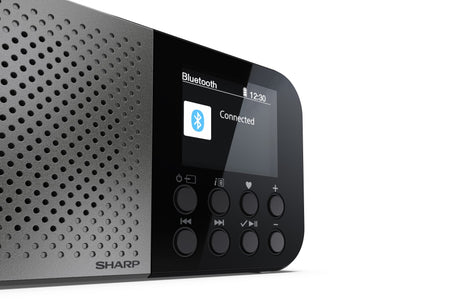 EAN 4974019204451 - Sharp DR-P520 Personal Digital Gris imagen 4