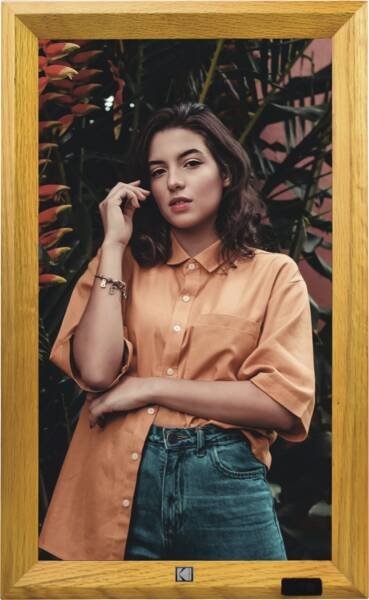 Kodak Wf238v Wifi Wurzelholz