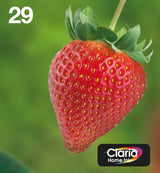 EAN 8715946638874 - Epson Strawberry C13T29864511 cartucho de tinta 1 pieza(s) Original Rendimiento estándar Negro, Cian, Mag imagen 1