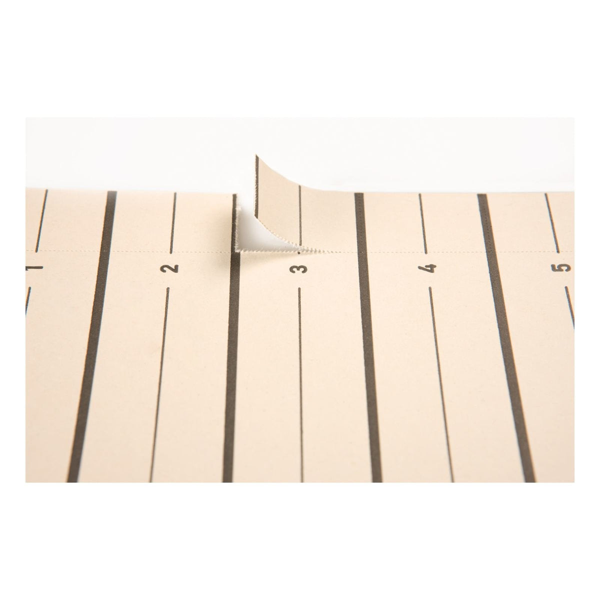 Separadores Pagna A4 Easy Rip Beige Pack De 100 Piezas