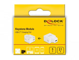 Delock Keymone Modul Con Usb Type-C Ladehchse 2,1 A Blanco
